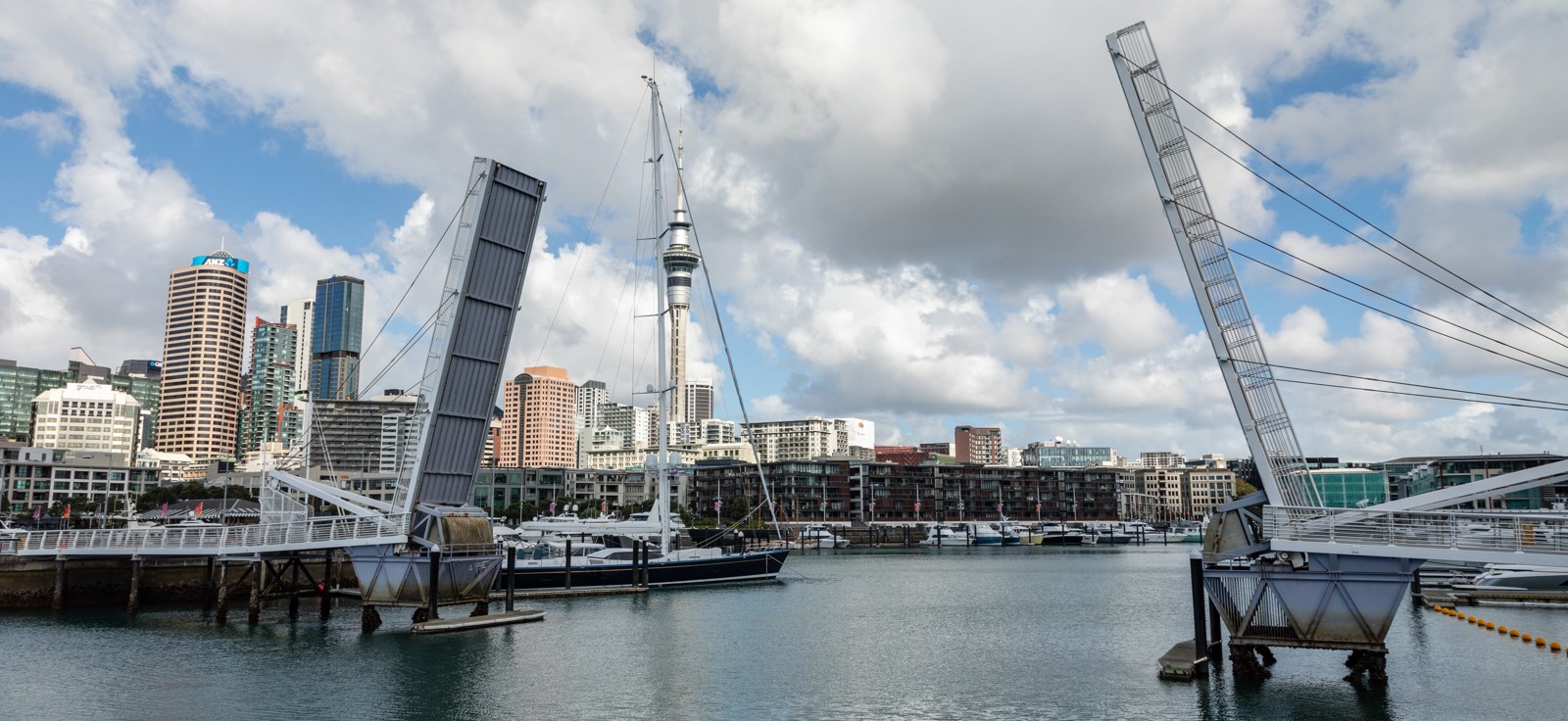 Wynyard Crossing Bridge 3799