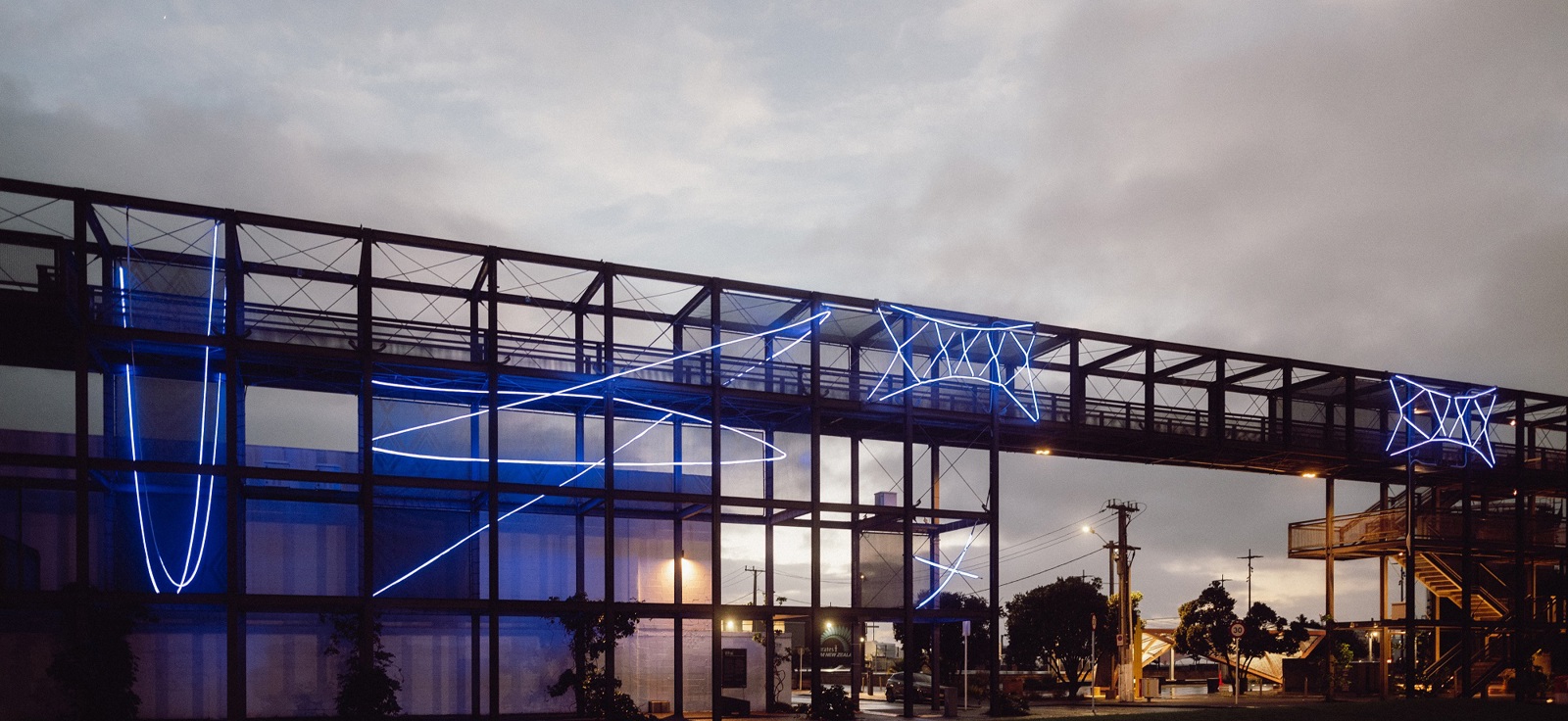 2025.6 B Williams Whai DSG