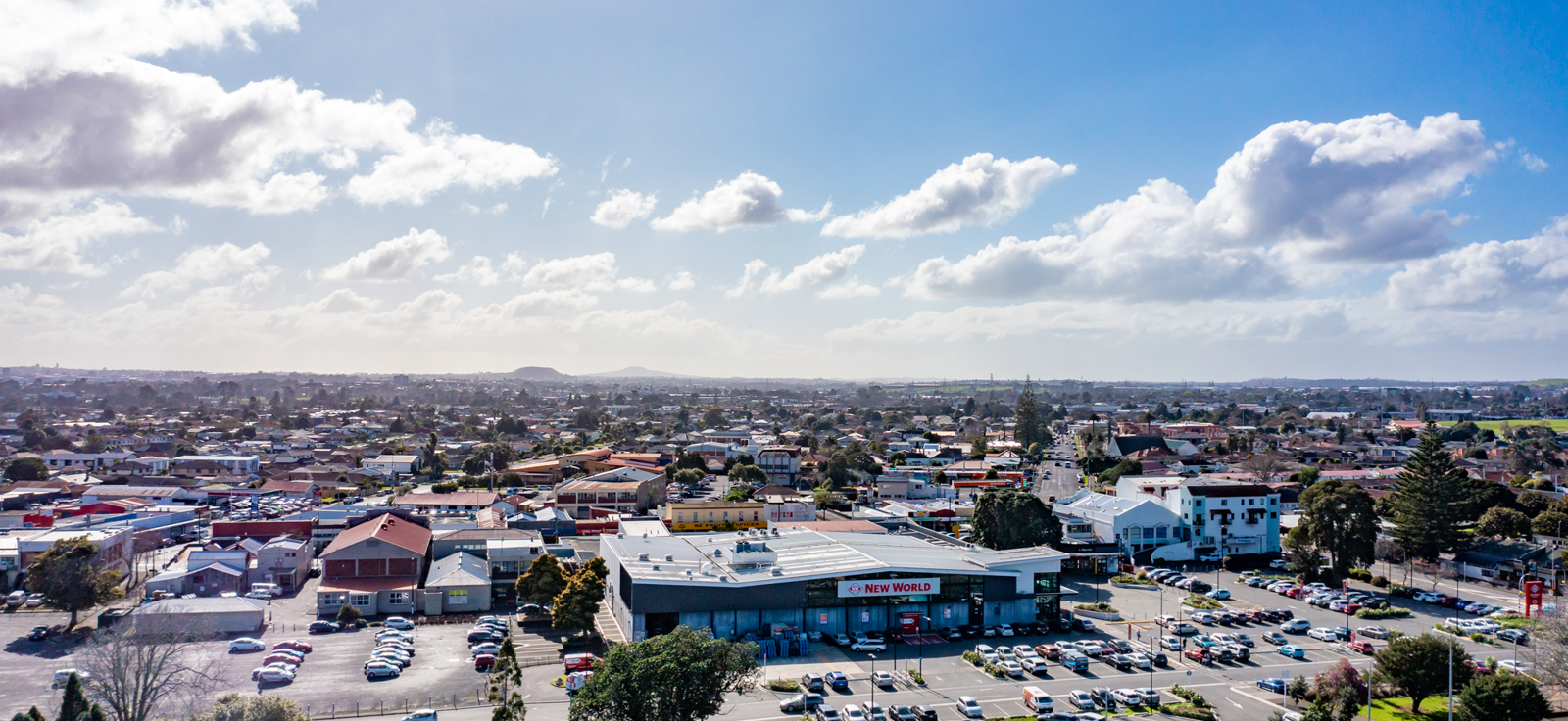 Old Papatoetoe Stock 0887