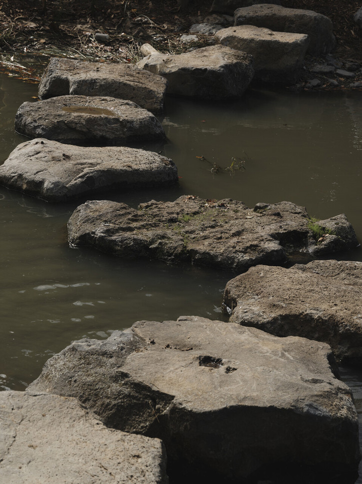 Large DST AUDO HAYMAN 0426 6609