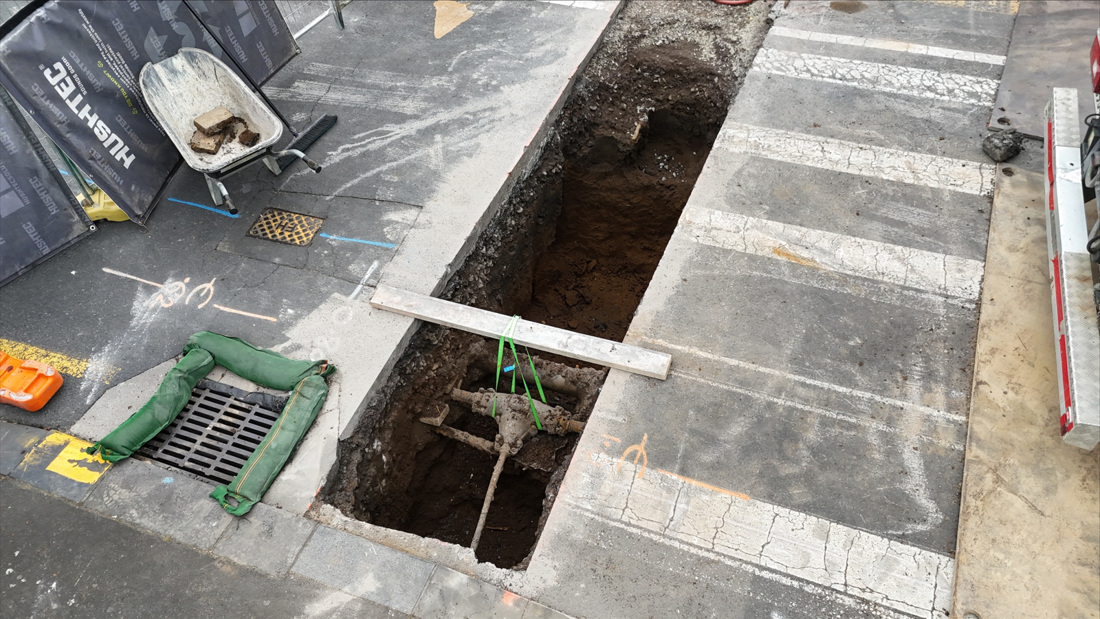 Processed 51EB15B1 07F9 4CBB B2F6 3591F4C49968