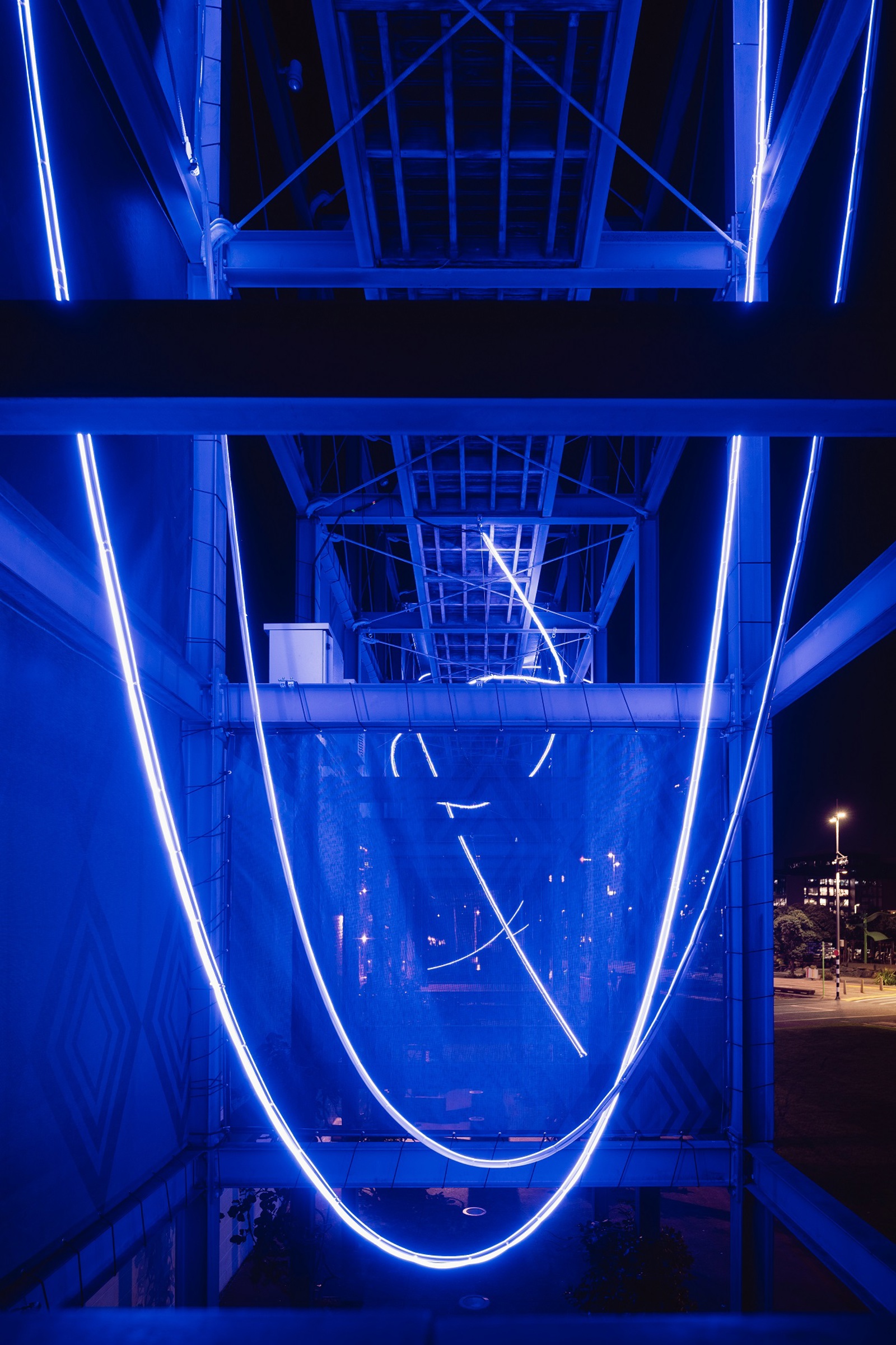 2025.6 E Williams Whai DSG