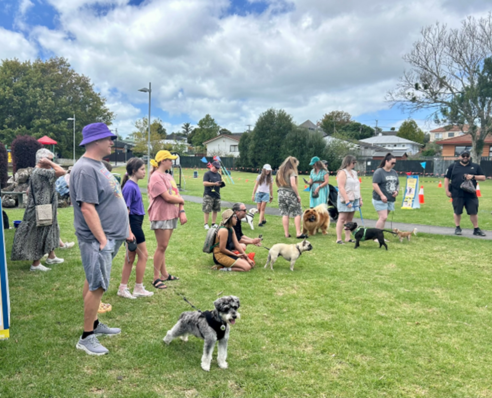 People And Dogs