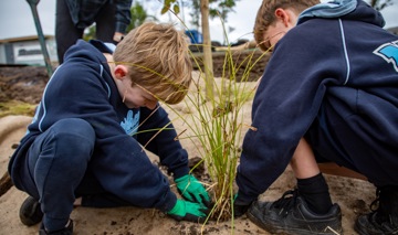20260825 Te Ara Awataha Planting 1111