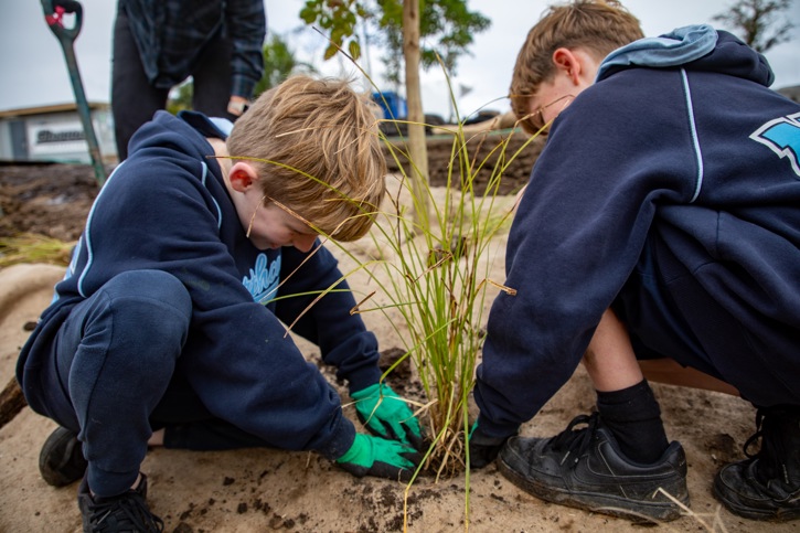 20260825 Te Ara Awataha Planting 1111