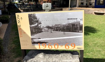 Northcote Heritage Images Front Of Tree Pearn Place