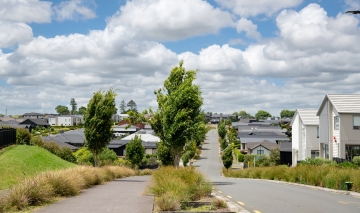 Education Thumbnail