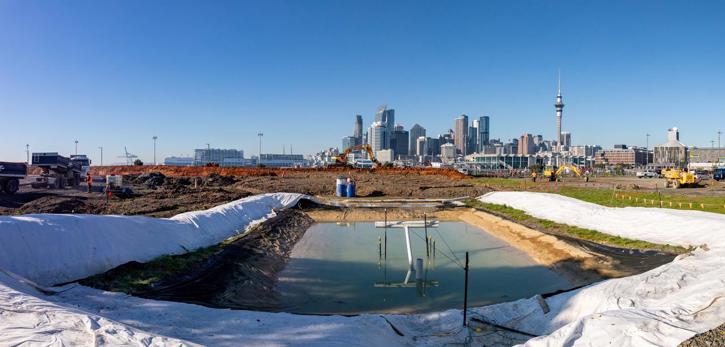 20250618 Te Ara Tukutuku Progress