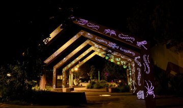 Waiwharariki Night 012024 7388