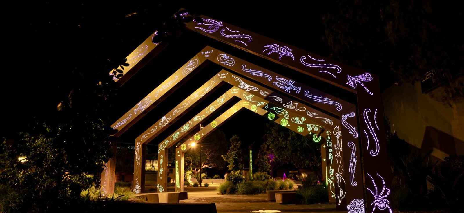 Waiwharariki Night 012024 7388