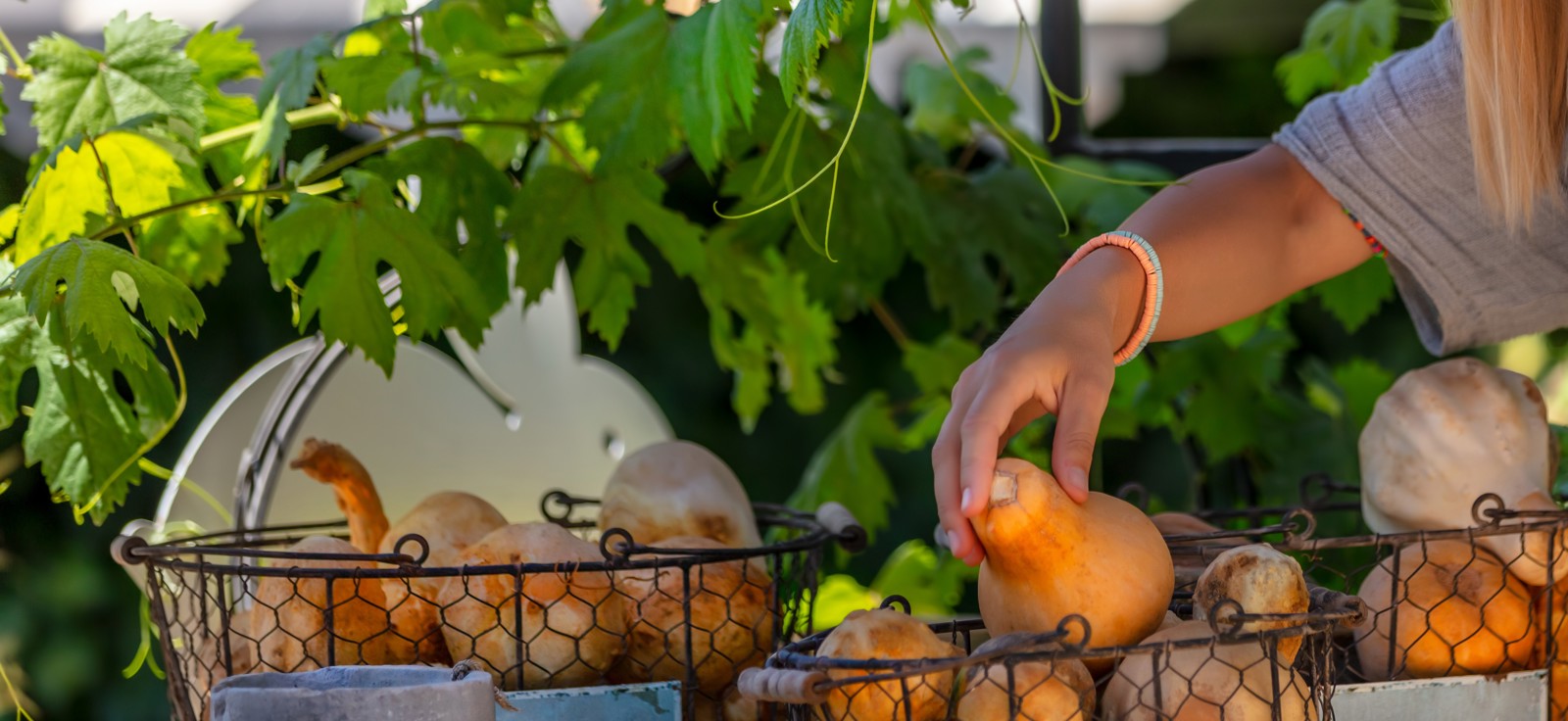 Organic Food Market Cropped