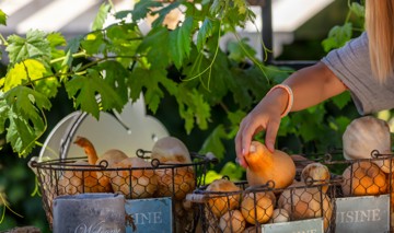 Organic Food Market Cropped