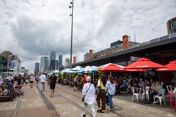20250117 North Wharf Karanga Plaza Crossing Bridge 3659